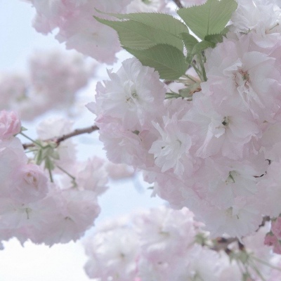 比如FurryQQ群介绍